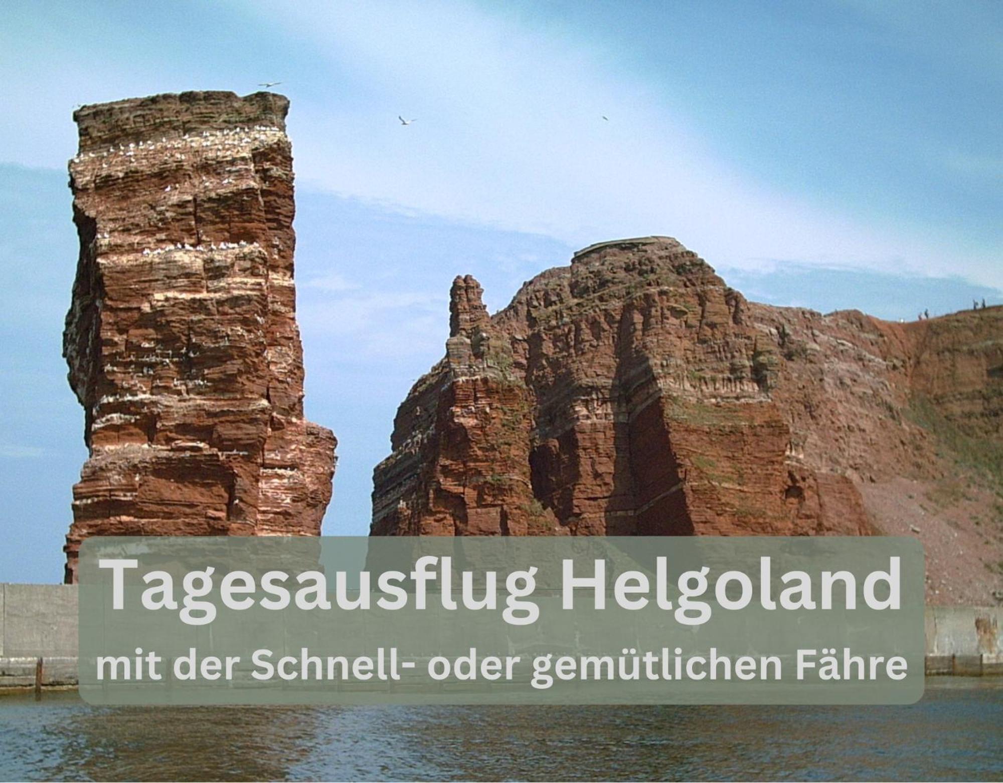 Lodge94 - Tinyhouse Kleiner Luxus Wilhelmshaven Luaran gambar